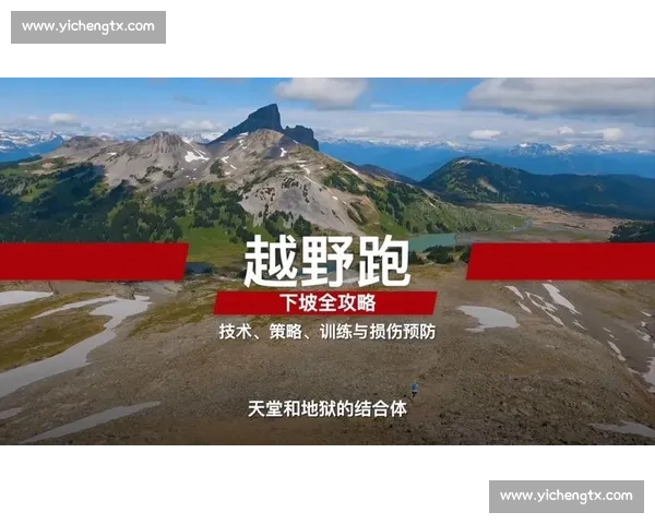 运动训练中的伤病预防策略与科学管理方法探究